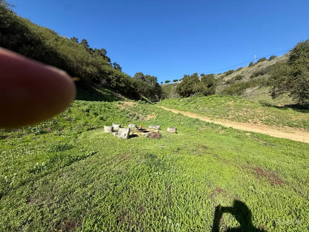 55d0815c-879f-4126-958d-7b453f23c9d5