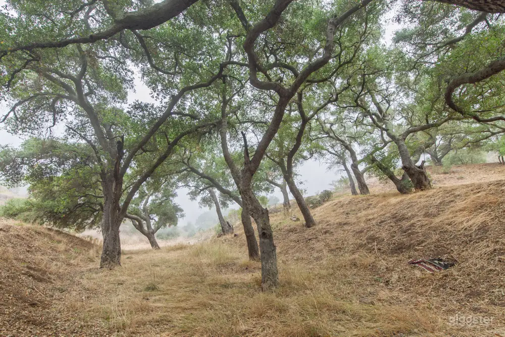 592c7754-7c46-4065-b618-1d04646dfd16