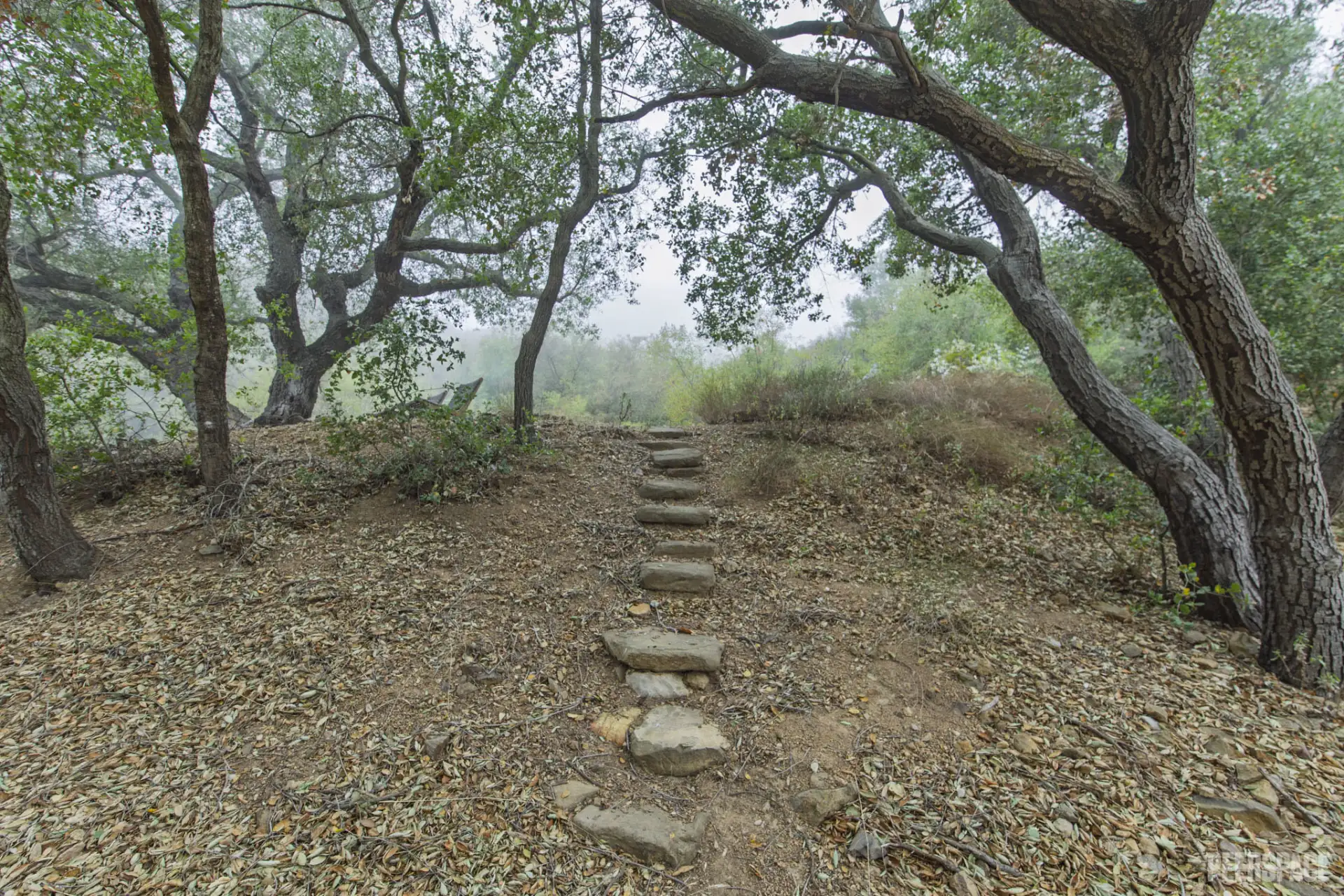 mv2lyuj5eavbxw3kraga