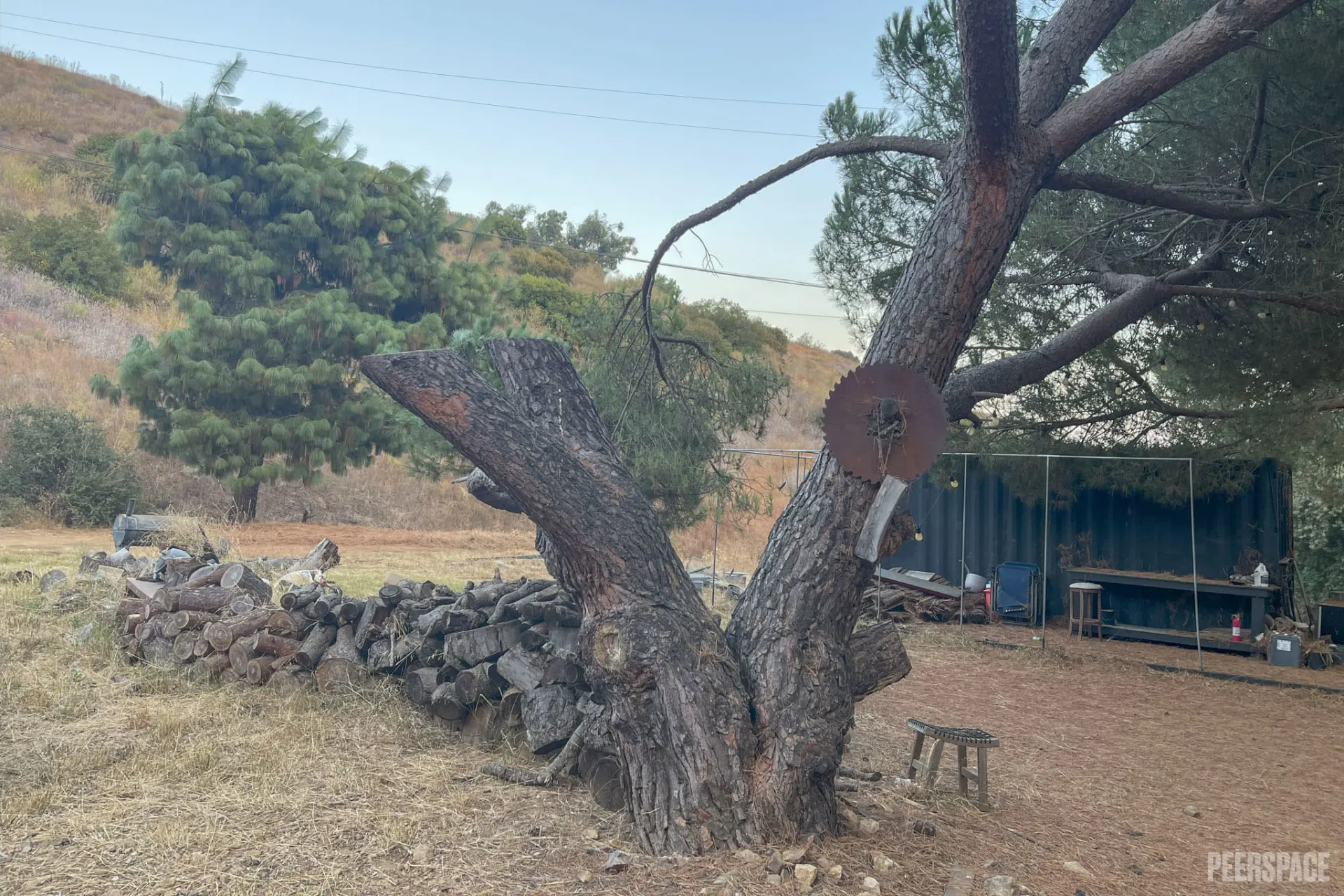 qay8dizriqo6kqrihp0t