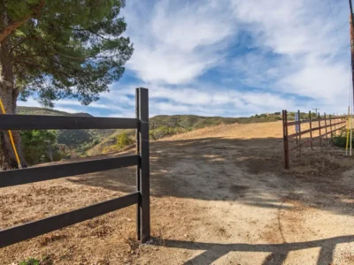 515687c0-8e3a-421f-9146-e5028a7b1d29