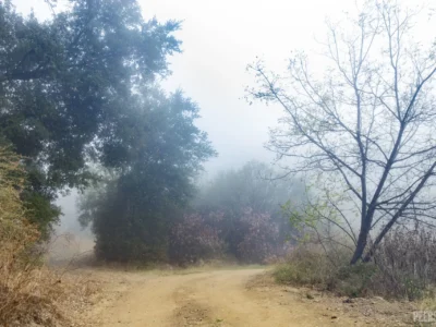 r1elfevd7sdyorwrizyc