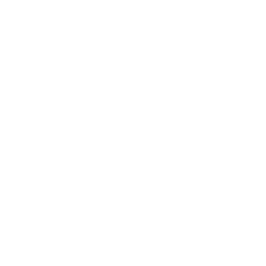 Exposed Aggregate Driveways